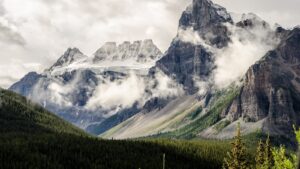 balance in your financial life